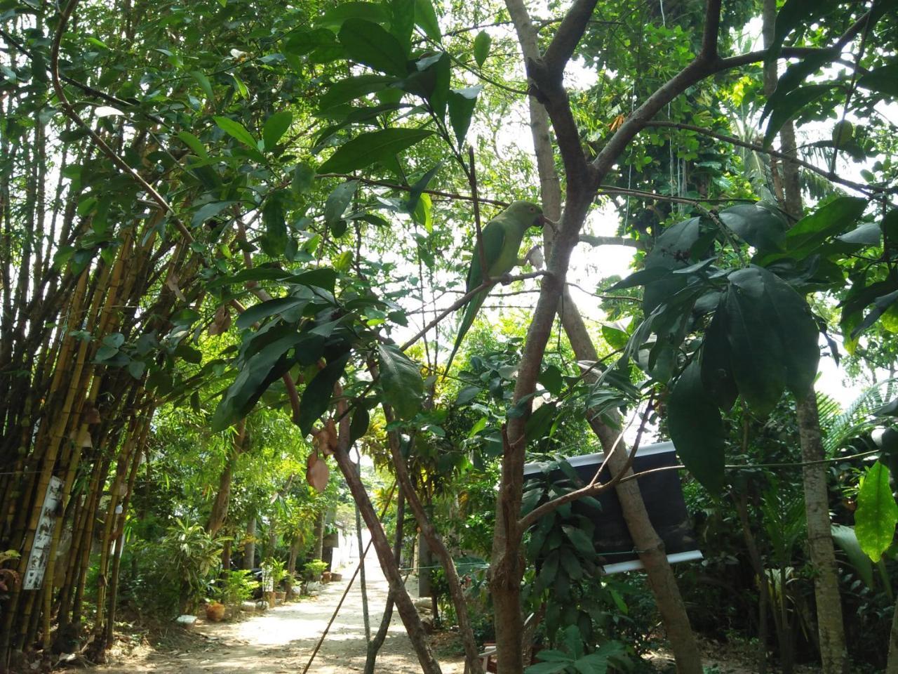 Hotel White House Unawatuna Exterior foto